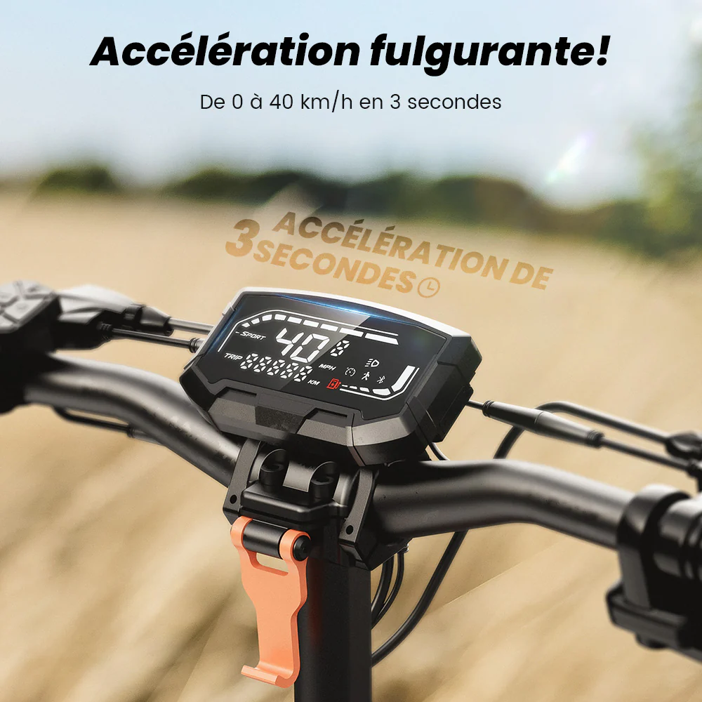 D2/D2plus Trottinette électrique tout-terrain 1000 W - Image 13