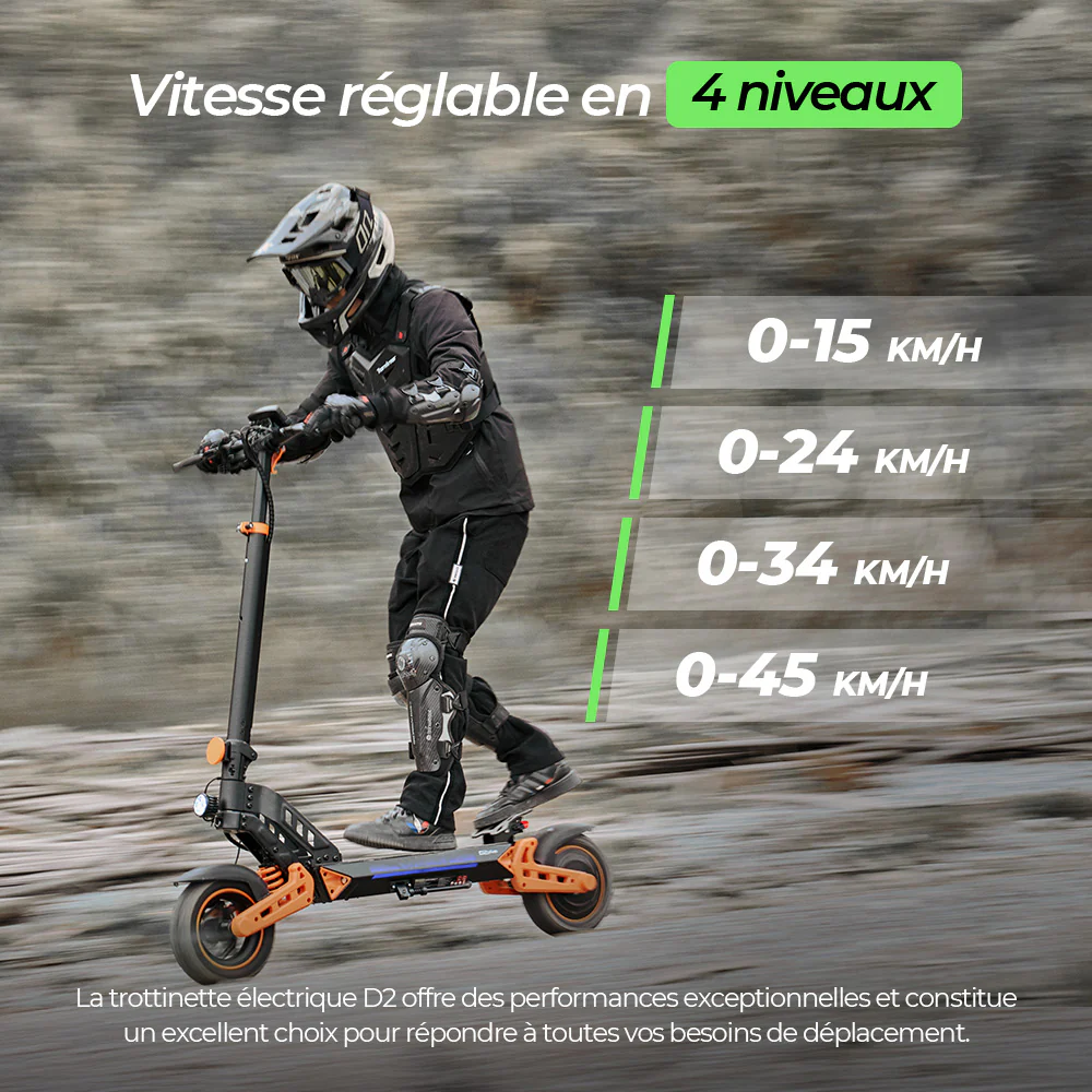 D2/D2plus Trottinette électrique tout-terrain 1000 W - Image 8
